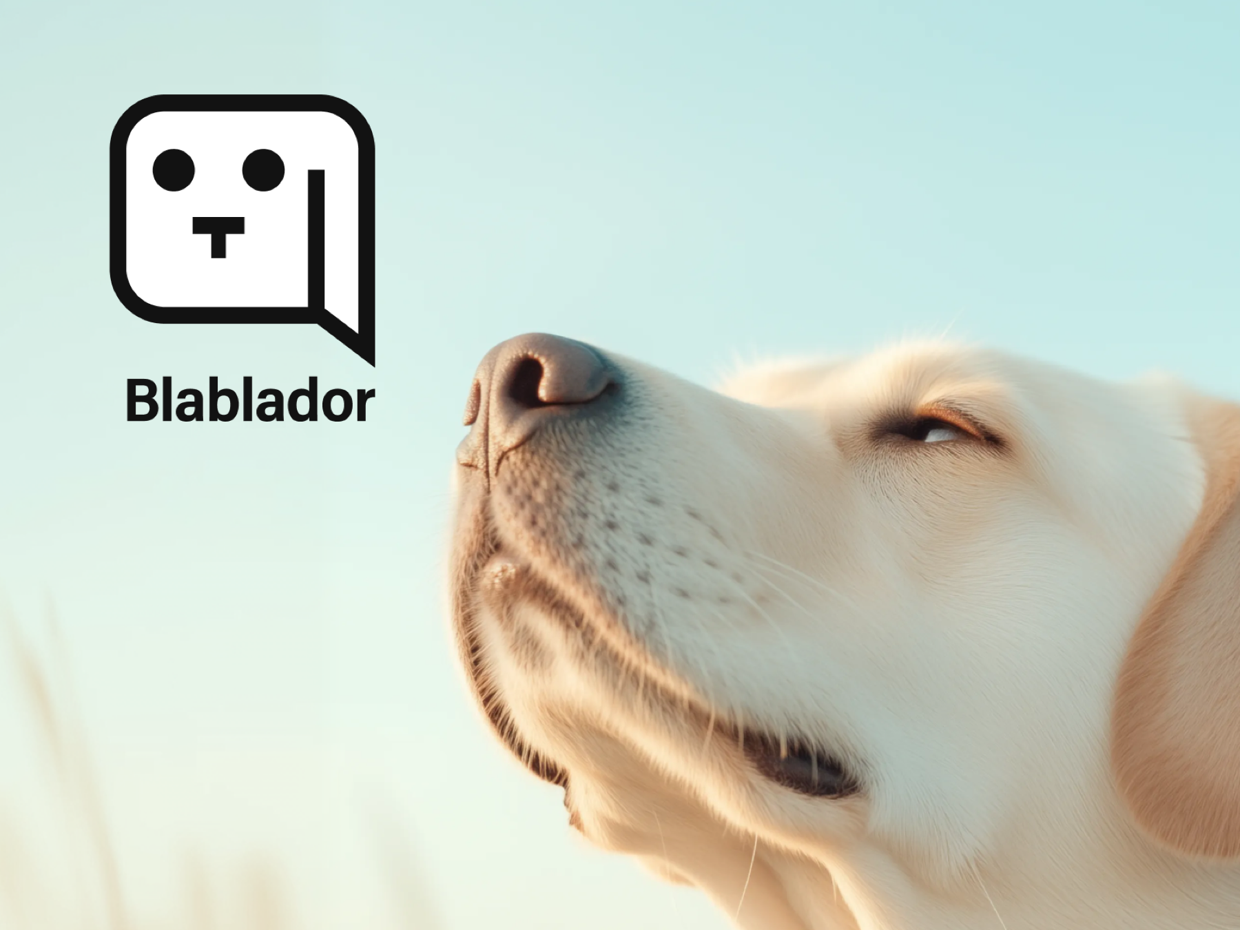 Blablador visual identity — Helmholtz Association LLM service