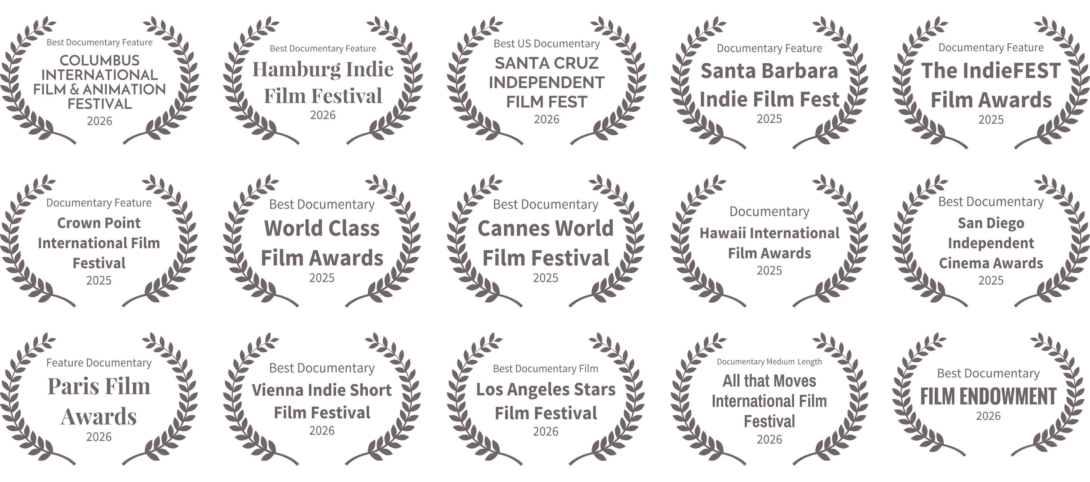 Festival award laurels for They Fight With Cameras